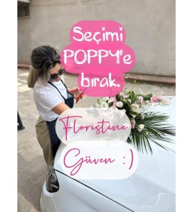 SEÇİMİ POPPY'E BIRAK :) 