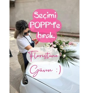 SEÇİMİ POPPY'E BIRAK :) 