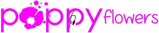 https://www.instagram.com/poppyflowers_tokat/?hl=tr